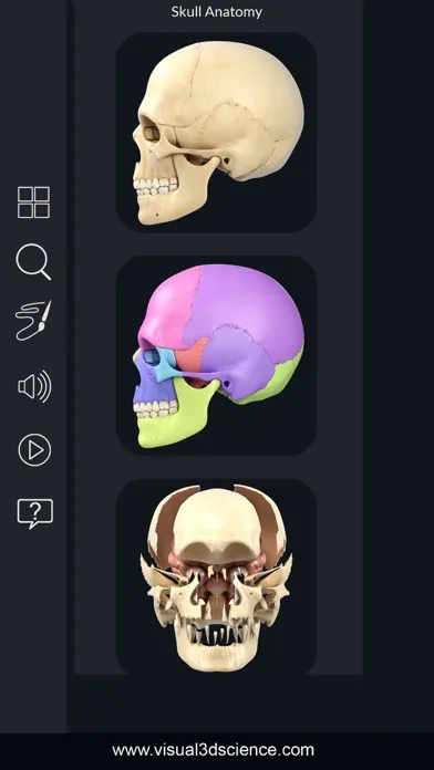 My Skull Anatomy Screenshots
